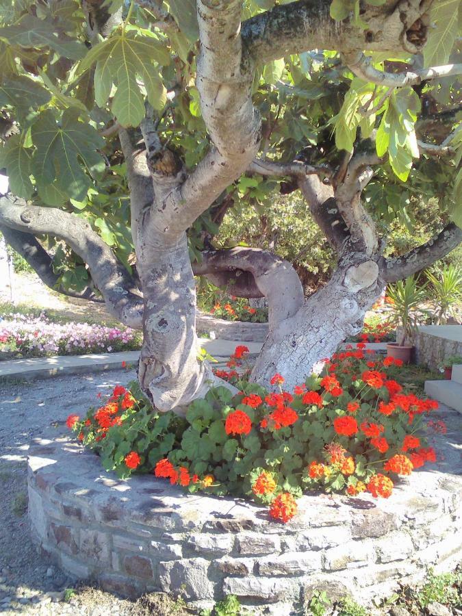 Enalion House Villa Agios Ioannis Kaspaka Екстериор снимка